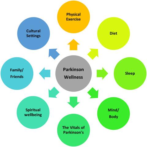 holistic health